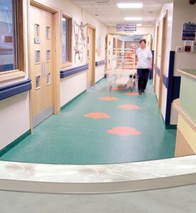 ARDEX AF145 - ARDEX pressure sensitive vinyl adhesive