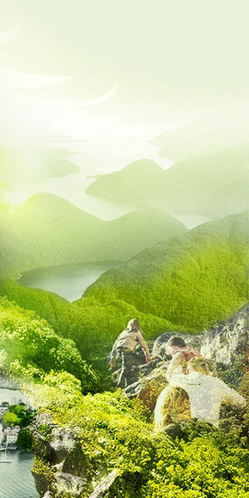 Ardex CO2 Neutrality