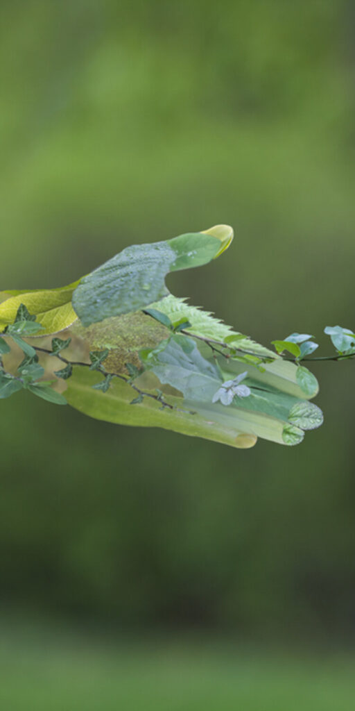 Ardex Code of Conduct