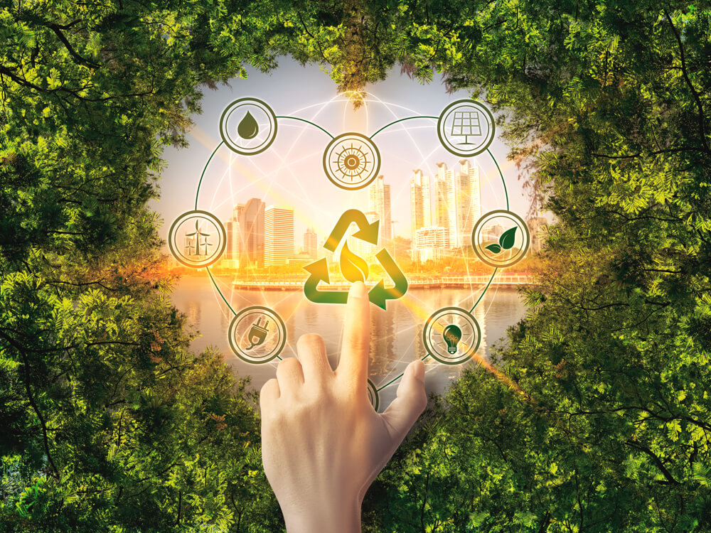 Consider the life-cycle