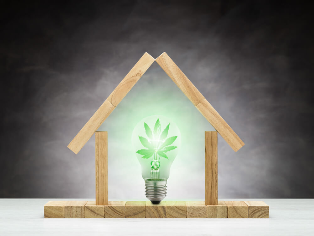 Promote the use of our products