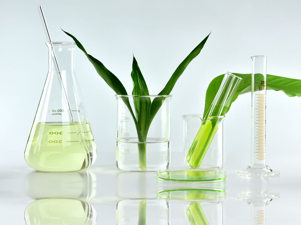 Source raw materials